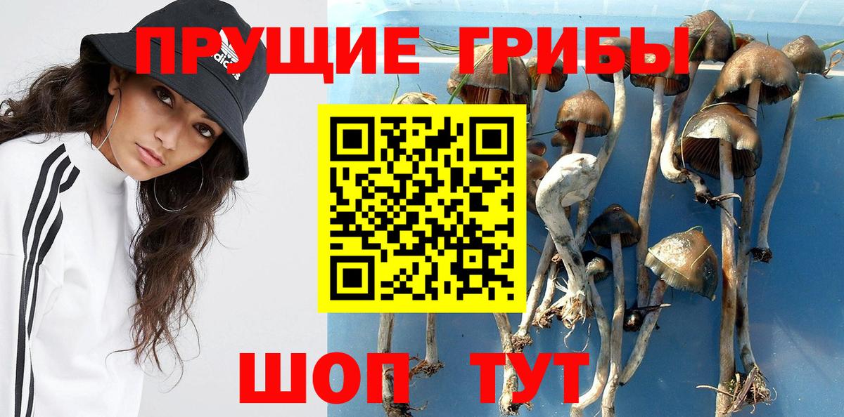 Куйбышев  Псилоцибиновые грибы мицелий  где можно купить   Вход с VPN 